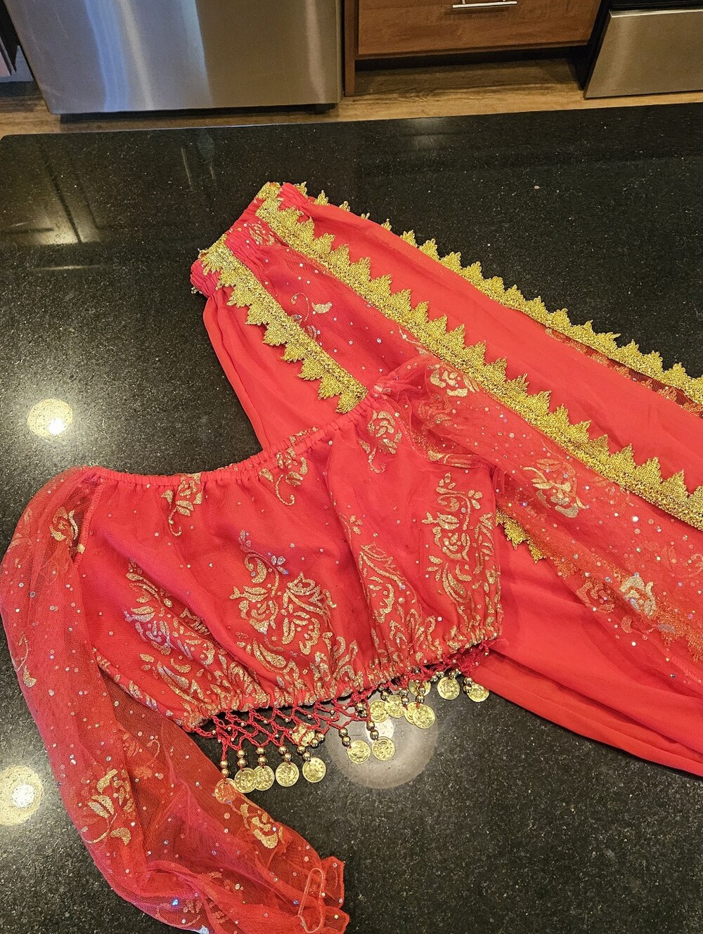 Belly Dancer or Harem Costume. Child size Medium/large